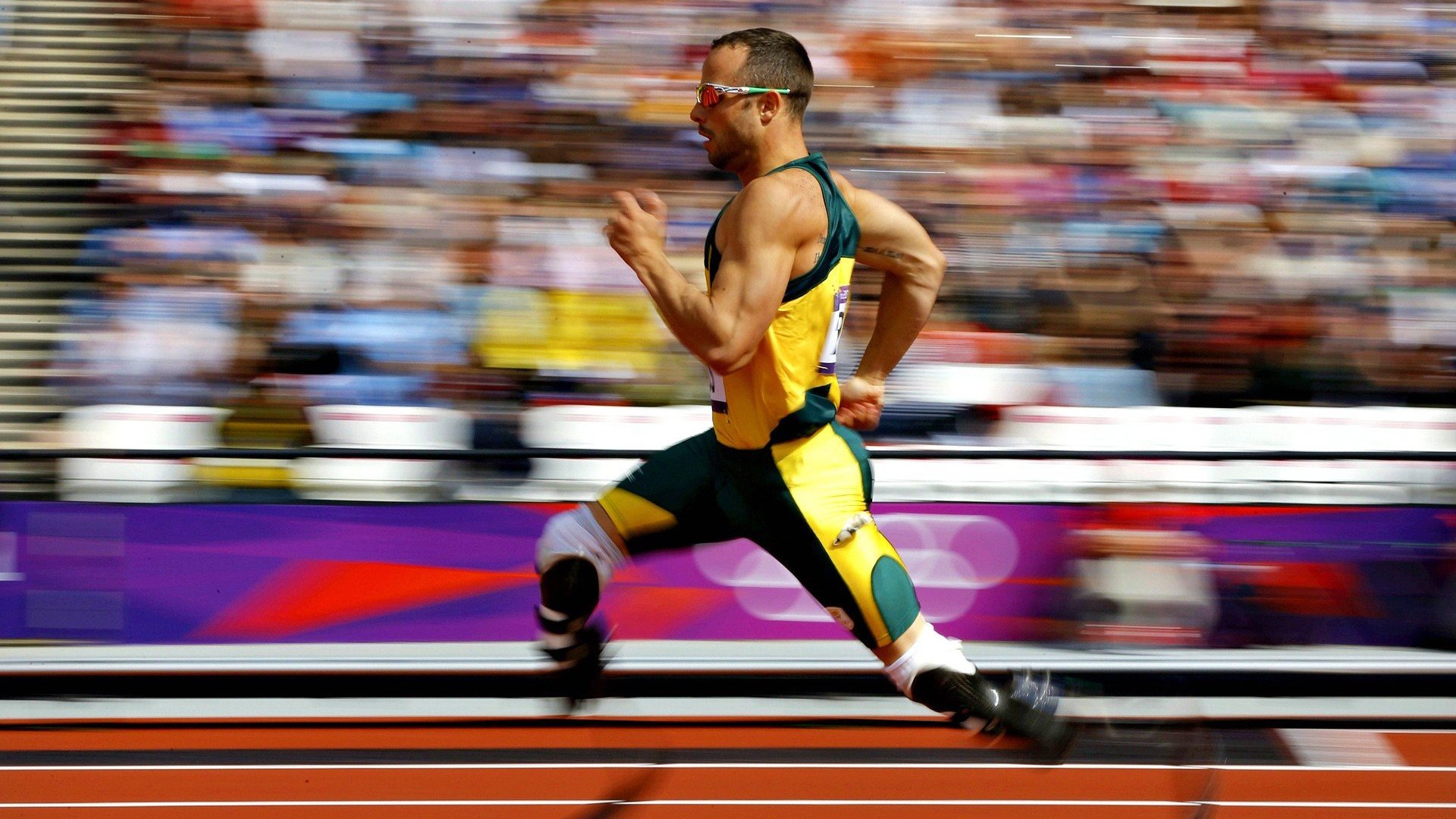 美洲杯精彩集锦：逆境逆袭的足球奇迹，美洲杯集锦视频