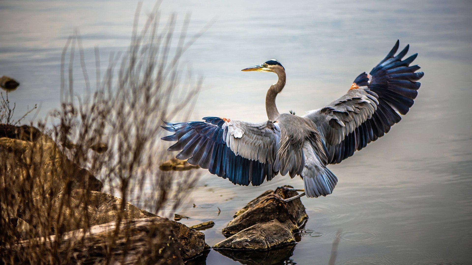 开云·体育官方网站入口-《篮记》特辑：球员成长的点滴感悟，球员篮球