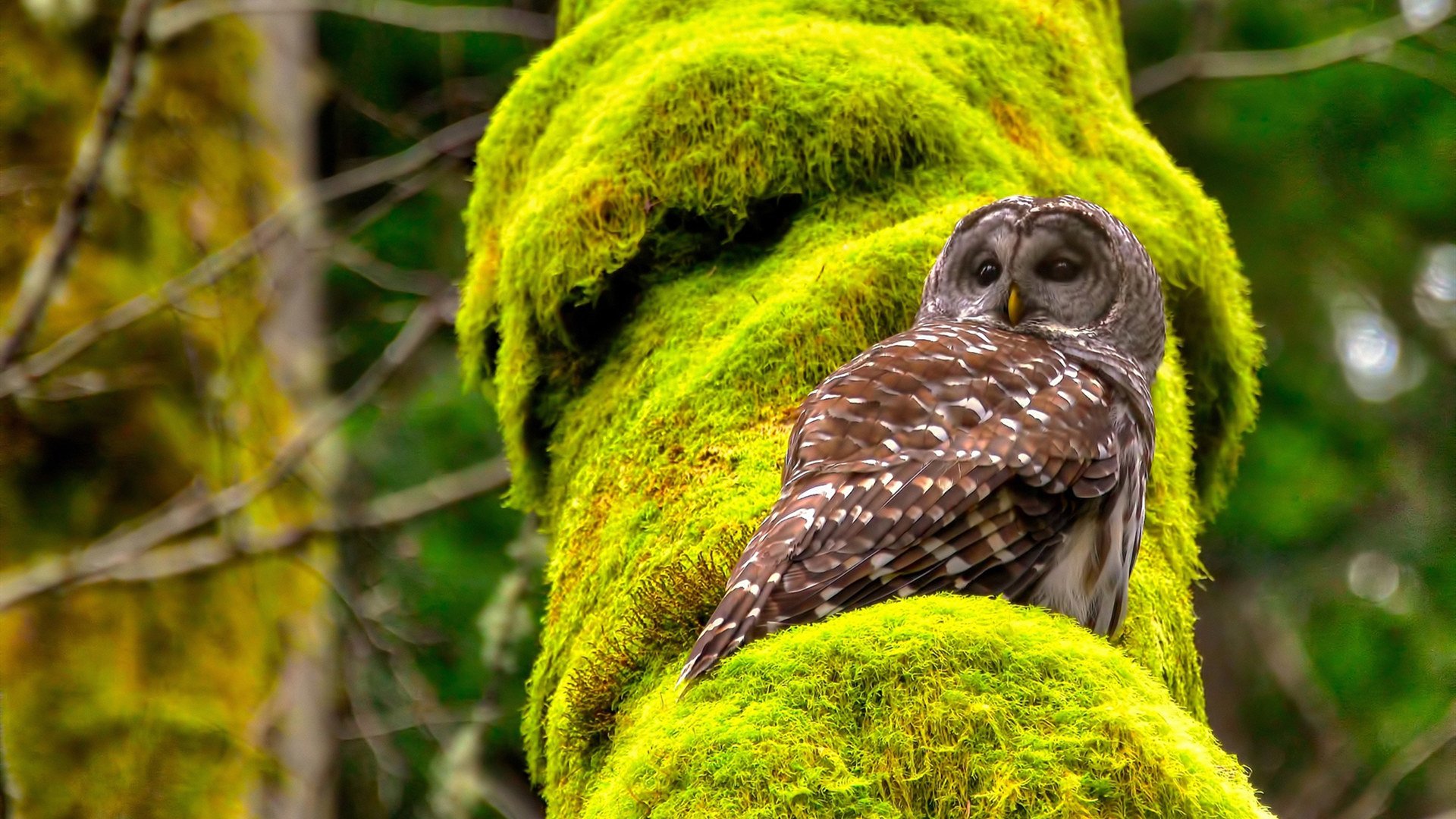 开云网址入口-全国大学生田径锦标赛落幕，涌现多名潜力股，全国大学生田径锦标赛2022